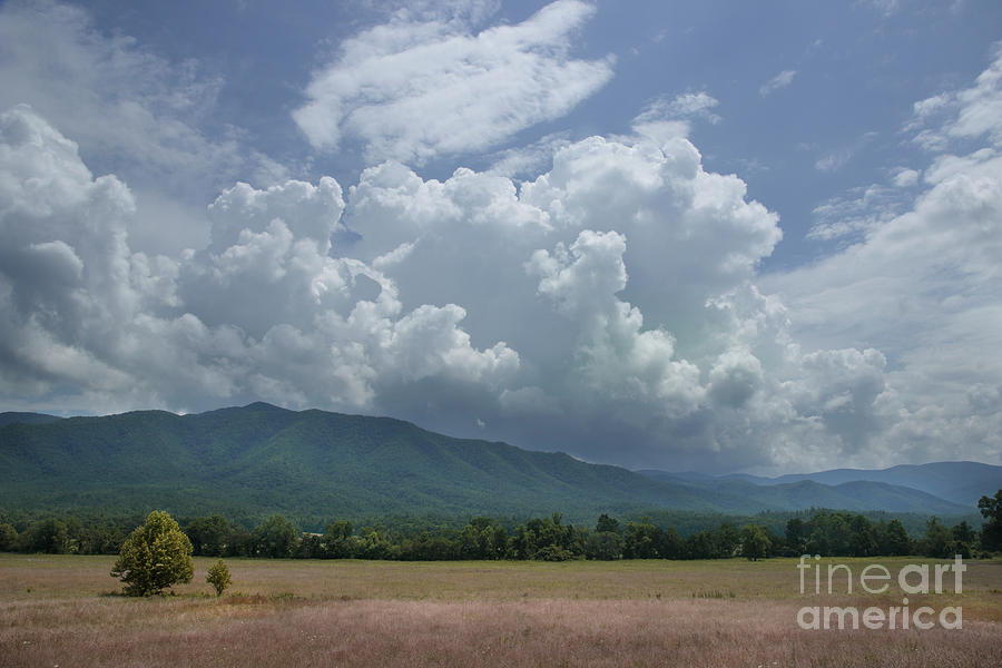 A Cades Cove Afternoon Photograph by Mike Eingle