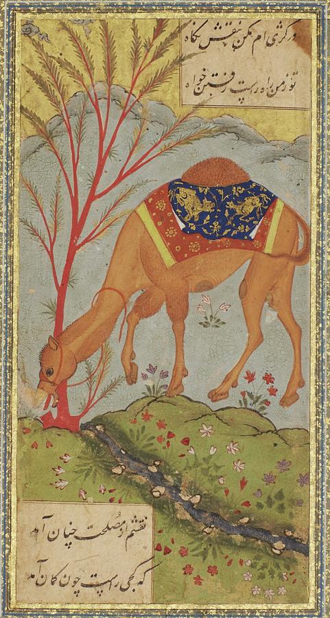 A camel tethered near a stream Painting by Eastern Accents