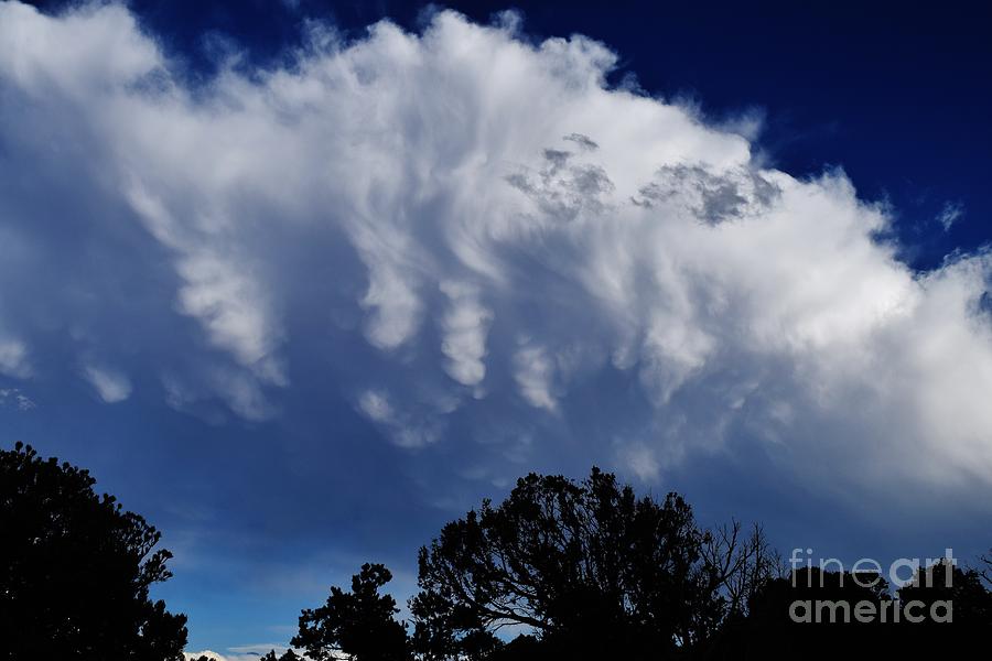 A Canyon Cloud Of Confusion Photograph by Janet Marie