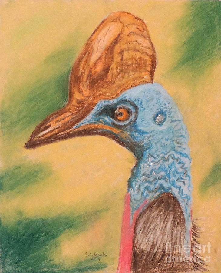 Turkey Drawing - A cassowary stoned out of its mind by Stephen Brooks
