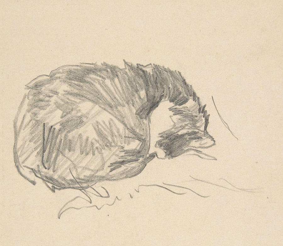 A Cat Curled Up, Sleeping Drawing by Edouard Manet