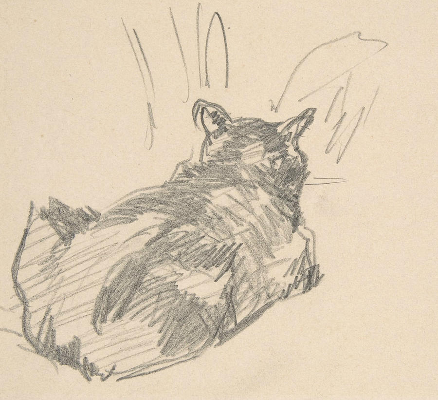 A Cat Resting on All Fours, Seen from Behind Drawing by Edouard Manet