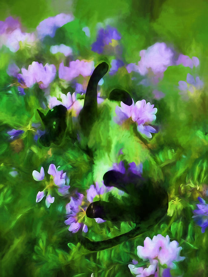 Flower Photograph - A Cats Dream by Theresa Campbell