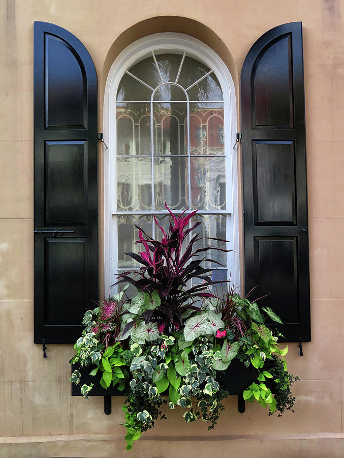 A Charleston Window Photograph by Dave Mills