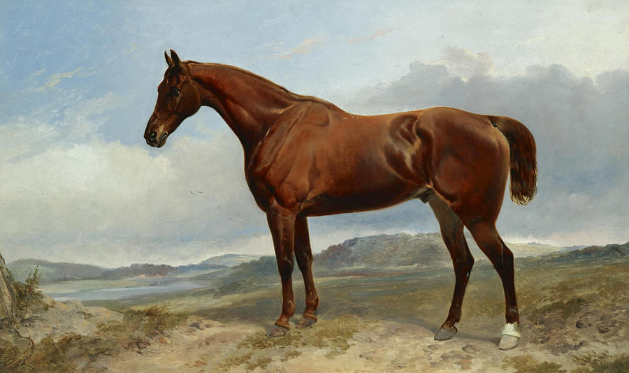 A Chestnut Hunter in a Landscape Painting by Richard Ansdell