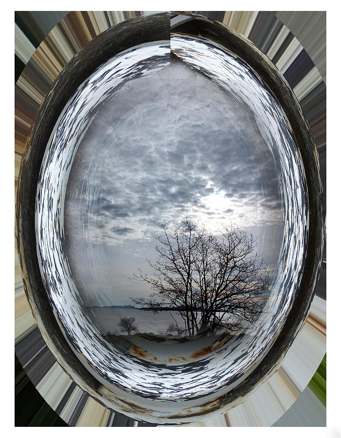 Tree Photograph - A Circle View by Lyn  Perry