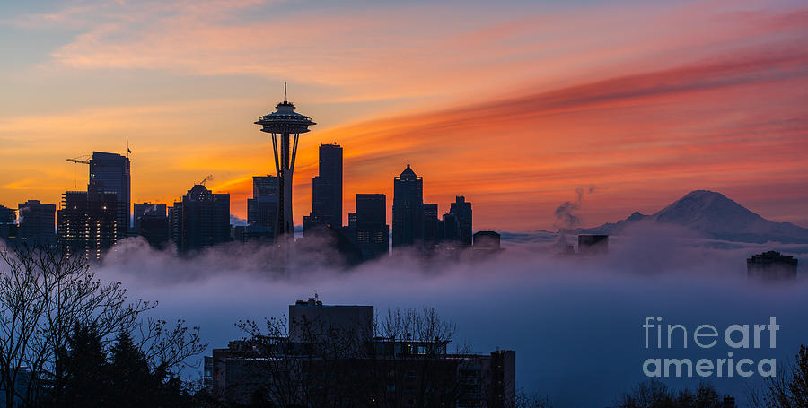 Seattle A City Emerges Photograph by Mike Reid