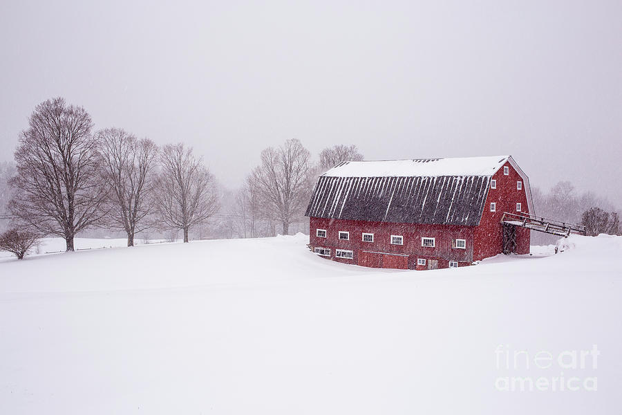 Winter Photograph - A classic New England red cow barn in a blizzard by Edward Fielding