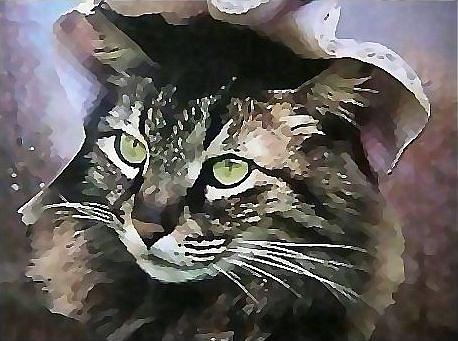 Cats Mixed Media - A Classy Lass by Brenda Garacci Cats Mixed Media - A Classy Lass by Brenda Garacci