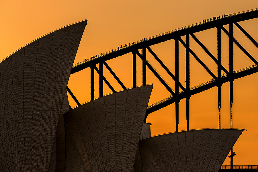 Sydney Photograph - A Climb Above The Sails by Renee Doyle