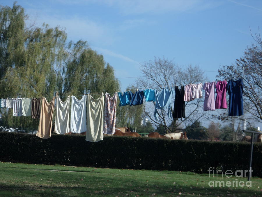 A Clothesline on a Sunny November Day Photograph by Christine Clark