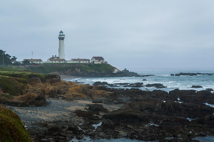 A Cloudy Day at Pigeon Point Photograph by Bryant Coffey