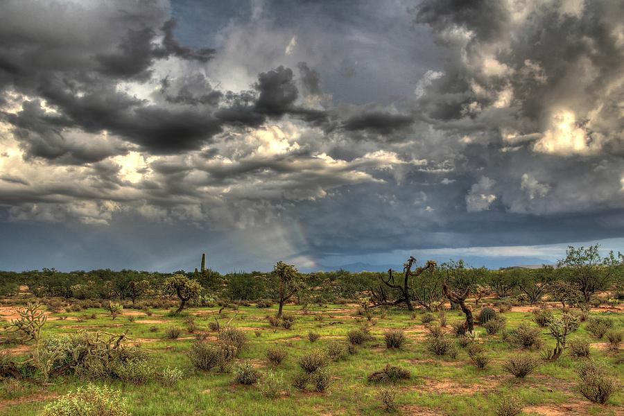 A Cloudy Desert by Kimmi Craig A Cloudy Desert by Kimmi Craig