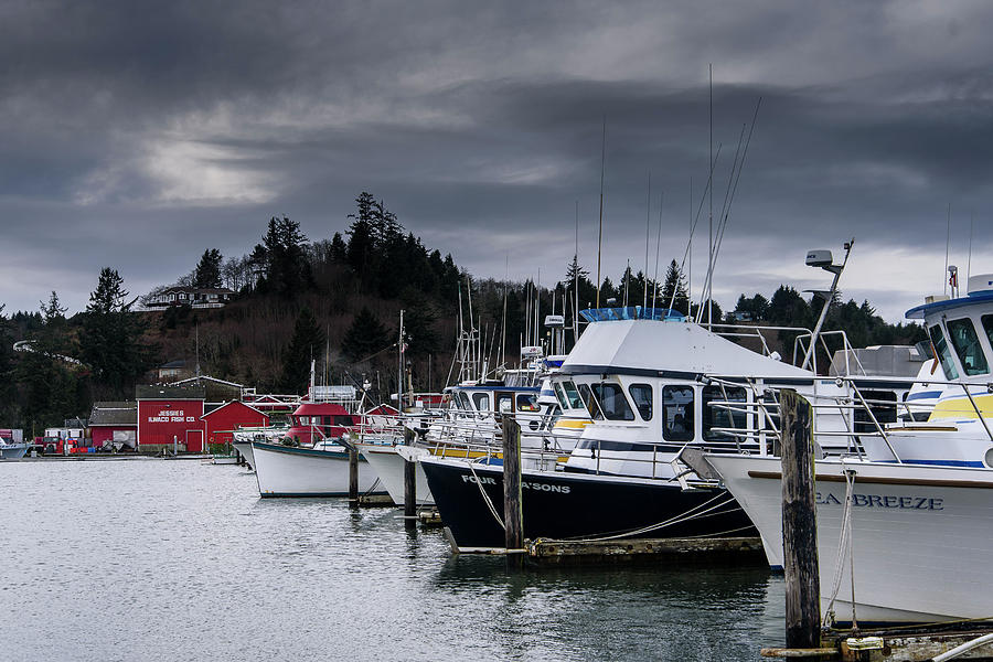 A Cloudy Morning at Ilwaco Photograph by Robert Potts