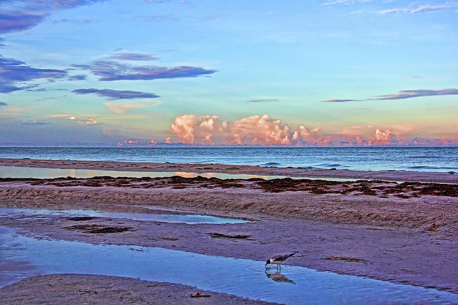 A Coastal Morning Photograph by HH Photography of Florida