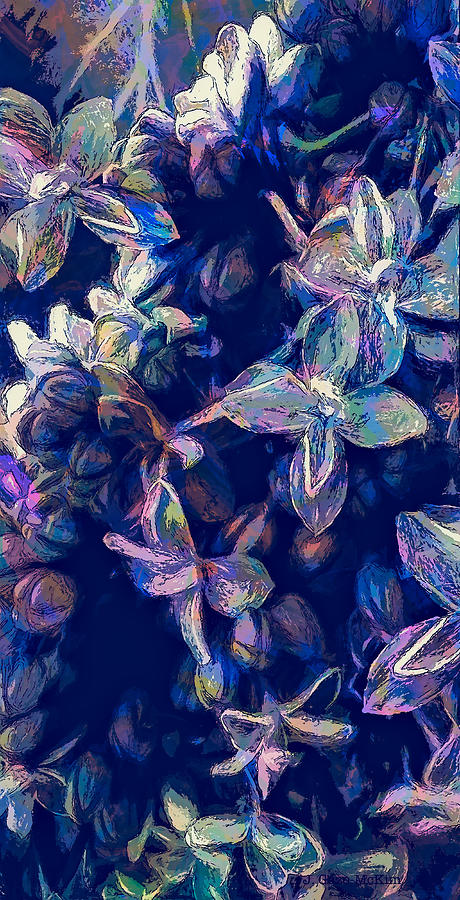 A Cobalt Flash of Floral Digital Art by Jo-Anne Gazo-McKim