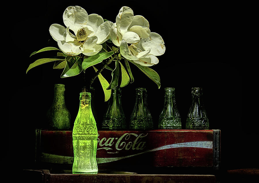 A Coke and Magnolia Still Life Photograph by JC Findley