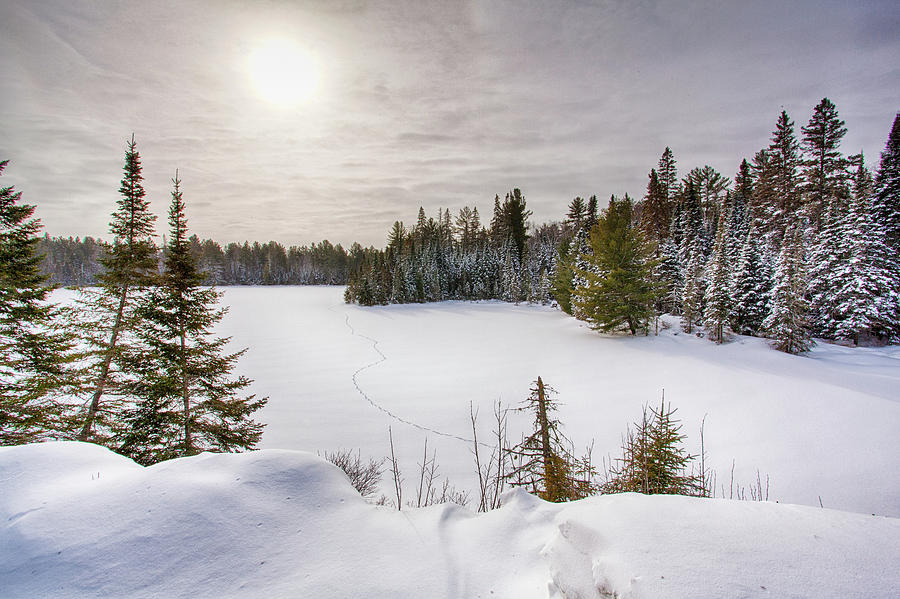 A cold Algonquin winters days by Peter Pauer A cold Algonquin winters days by Peter Pauer