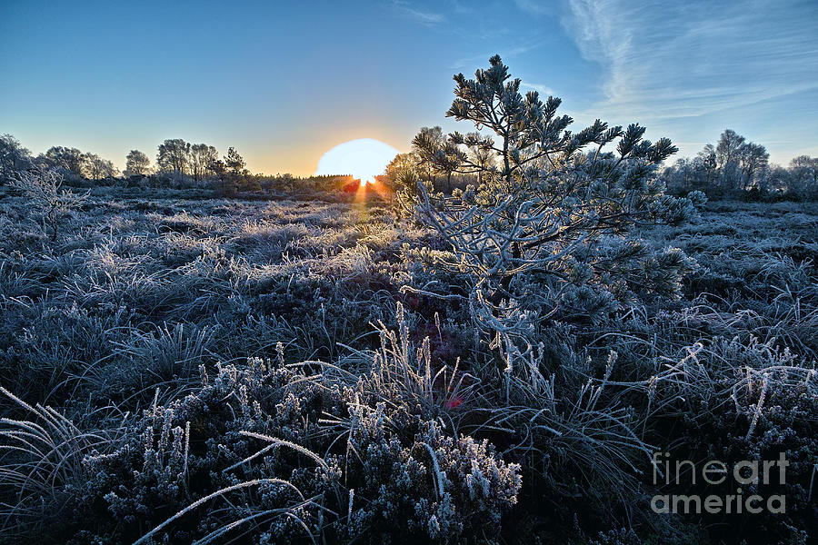 Cool Photograph - A cold morning at Lilliput by William Cleary