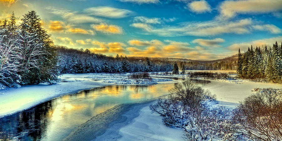 A Cold Winter Day Photograph by David Patterson