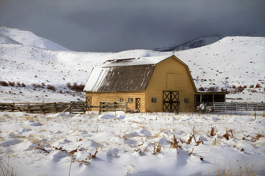 Barn Photograph - A Cold Winters Day by Donna Kennedy