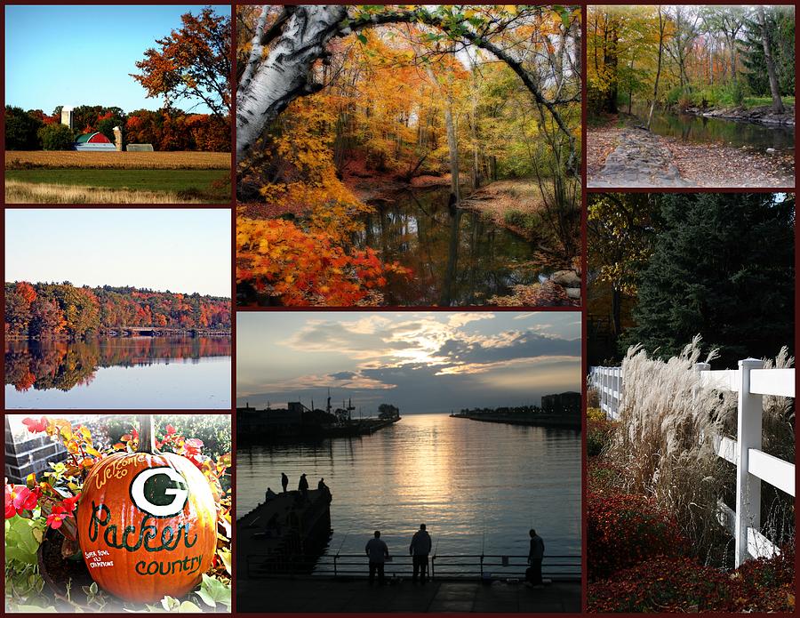 Landscape Photograph - A Collage Of Autumn by Kay Novy