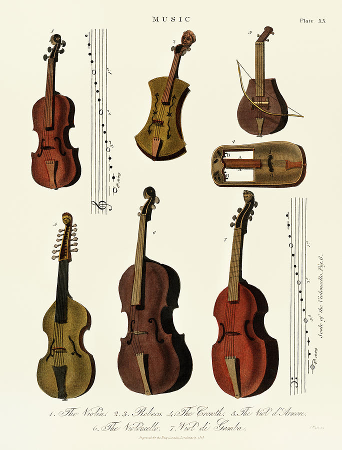 A collection of antique violin, viola, cello Drawing by Vincent Monozlay