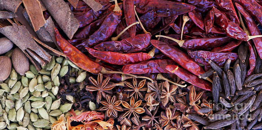 A Collection of Spices Photograph by Tim Gainey