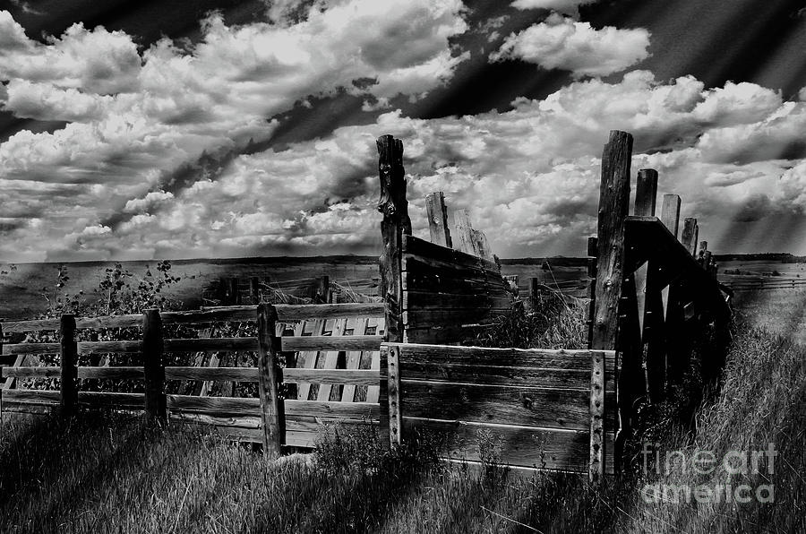 Black And White Photograph - A Colorado Landscape in Black And White  by Liane Wright