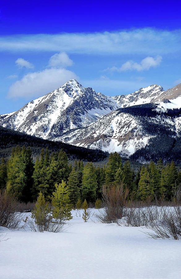 A Colorado Winter Photograph by John De Bord