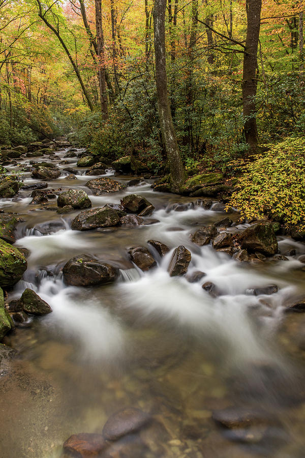 A Colorful Autumn Day At Jones Gap Creek Photograph by Willie Harper