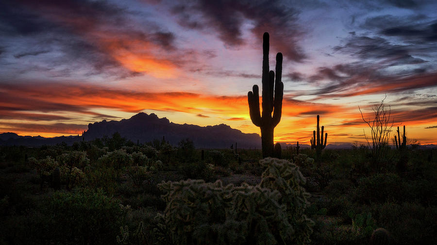 A Colorful Desert Morning  Photograph by Saija Lehtonen