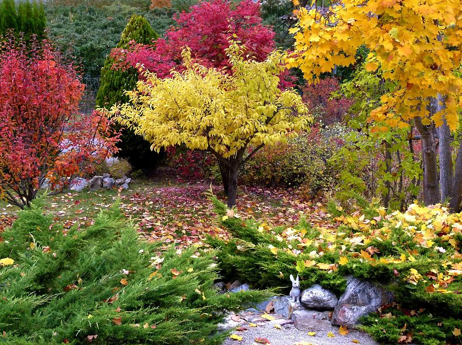 Nature Photograph - A Colorful Fall Corner by Will Borden