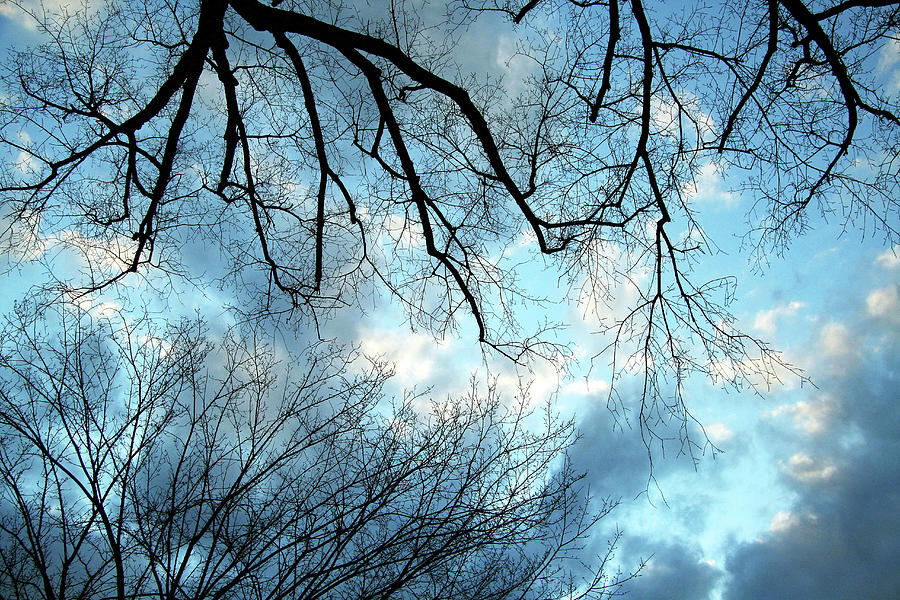 A Conflicted Sky Photograph by Cora Wandel