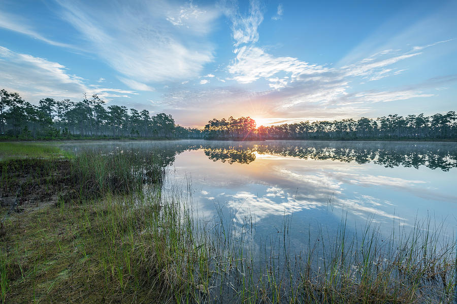 Everglades National Park Photograph - A Continuation of Morning by Jon Glaser