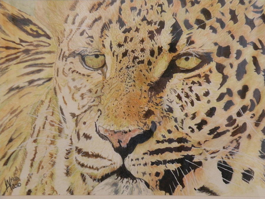 A cool Leopard Painting by Alan Webb