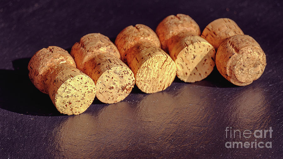 A Cork collection from a prosecco Photograph by Marina Usmanskaya