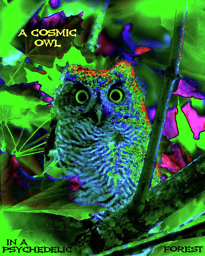 A Cosmic Owl in a Psychedelic Forest Photograph by Ben Upham III