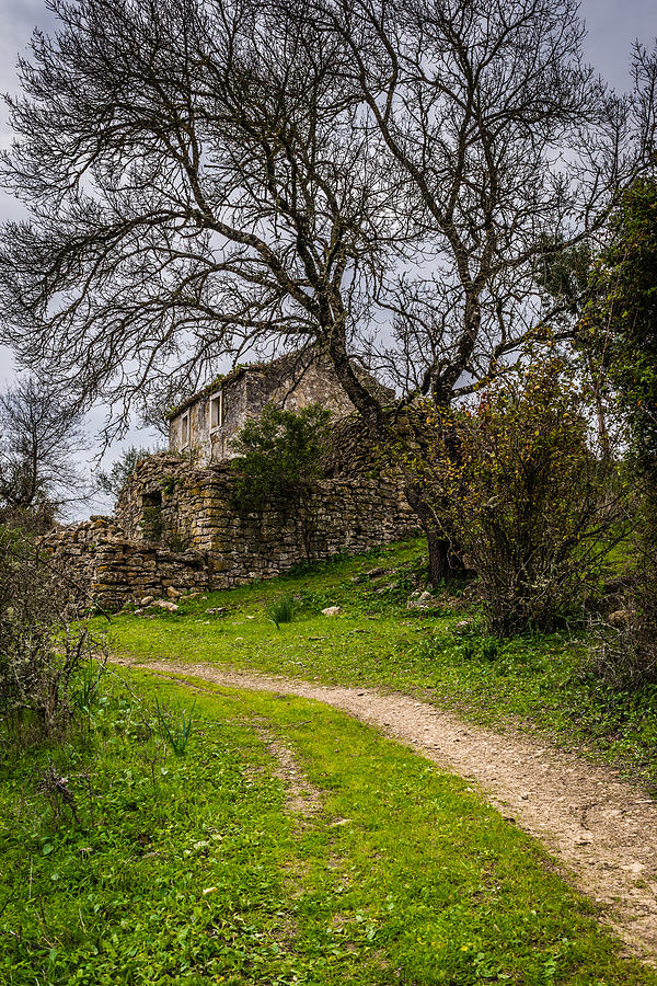 A Cottage In Ruins II Photograph by Marco Oliveira