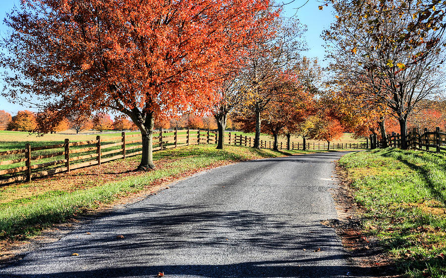 Fall Photograph - A Country Drive by JC Findley