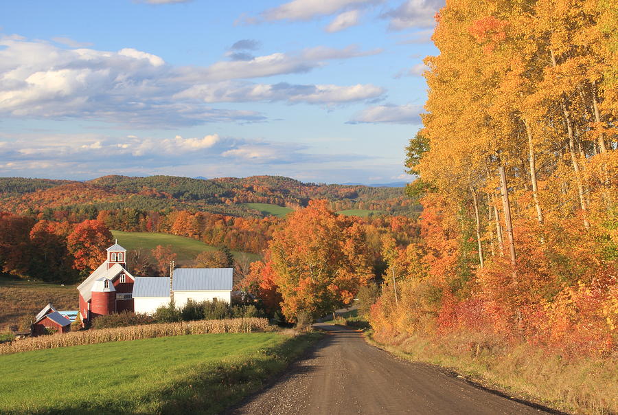 A Country Road Barnet Vermont Photograph by John Burk