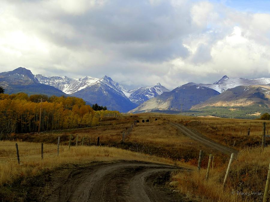 A Country Road to the Mountains Photograph by Tracey Vivar
