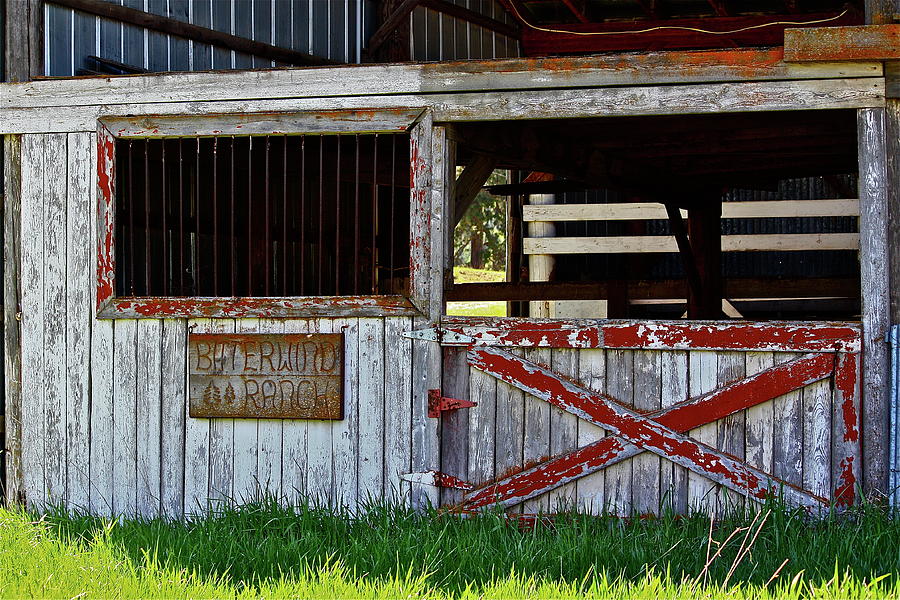 A Country Scene Photograph by Diana Hatcher