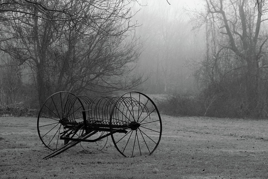 A Country Scene in Black and White Photograph by Karol Livote