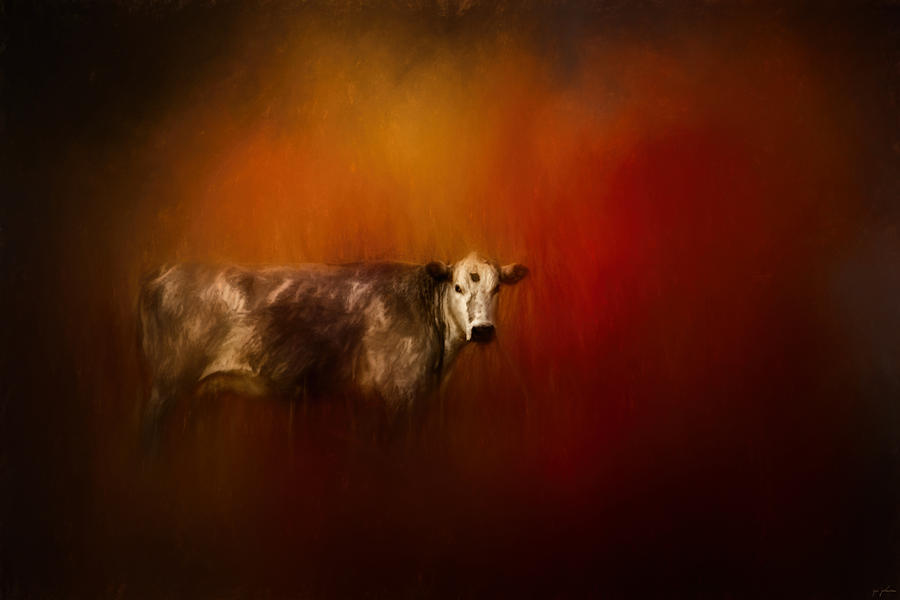 A Cow In Autumn Painting by Jai Johnson