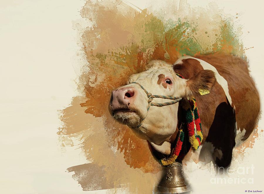 A Cow With a Character Photograph by Eva Lechner