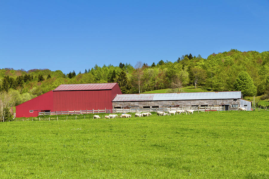 A cowshed in the Bugey mountains - France Photograph by Paul MAURICE