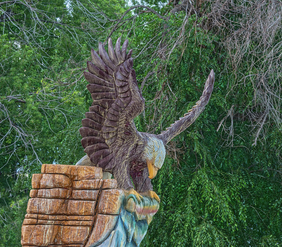 A Creative Soul Carved This Eagel Out Of A Dead Tree In Florence, Colorado.  Photograph by Bijan Pirnia