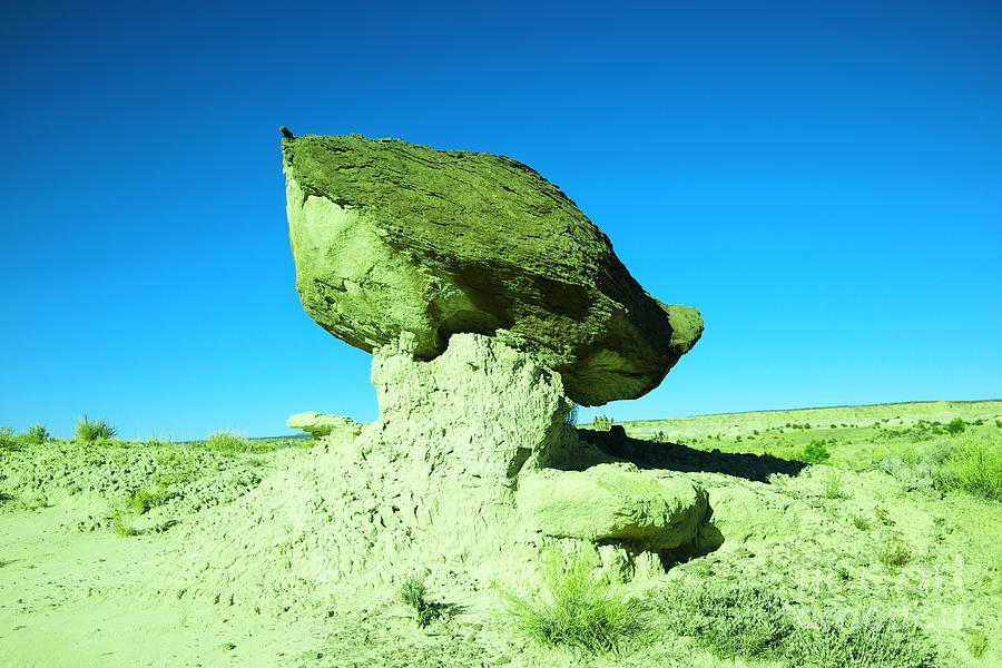 A crooked toad stool New Mexico Photograph by Jeff Swan