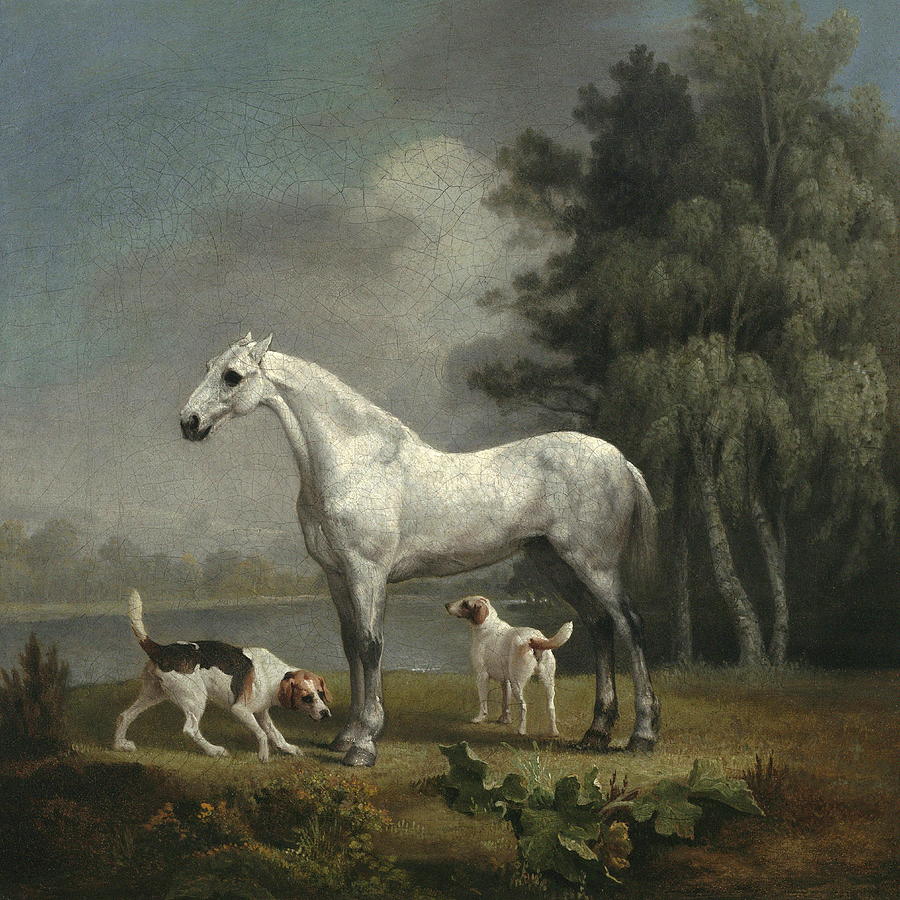Spring Painting - A Dapple Grey Hunter With Two Foxhounds Beside A Lake by George Stubbs
